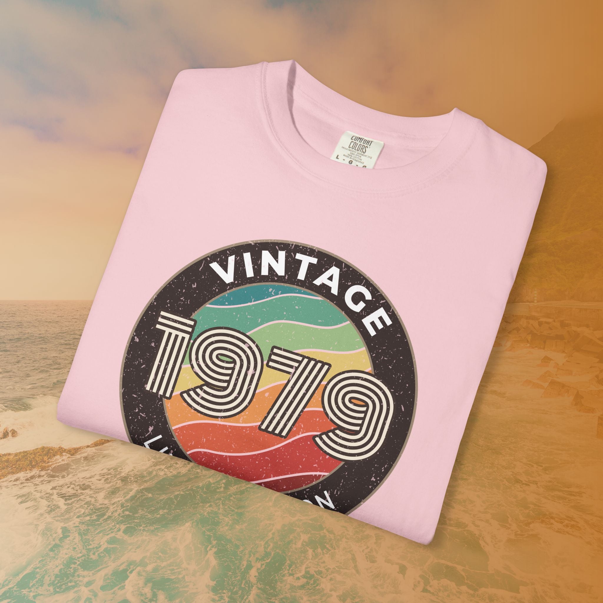 Vintage 1979 Limited Edition T-Shirt | Retro 1979 Birthday Gift for Men & Women