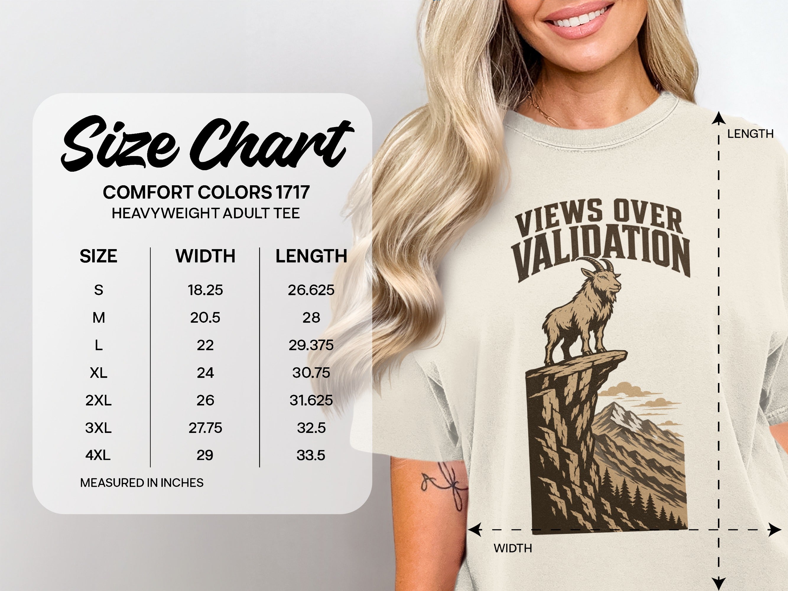 Comfort Colors 1717 size chart for heavyweight adult tees with width and length measurements.